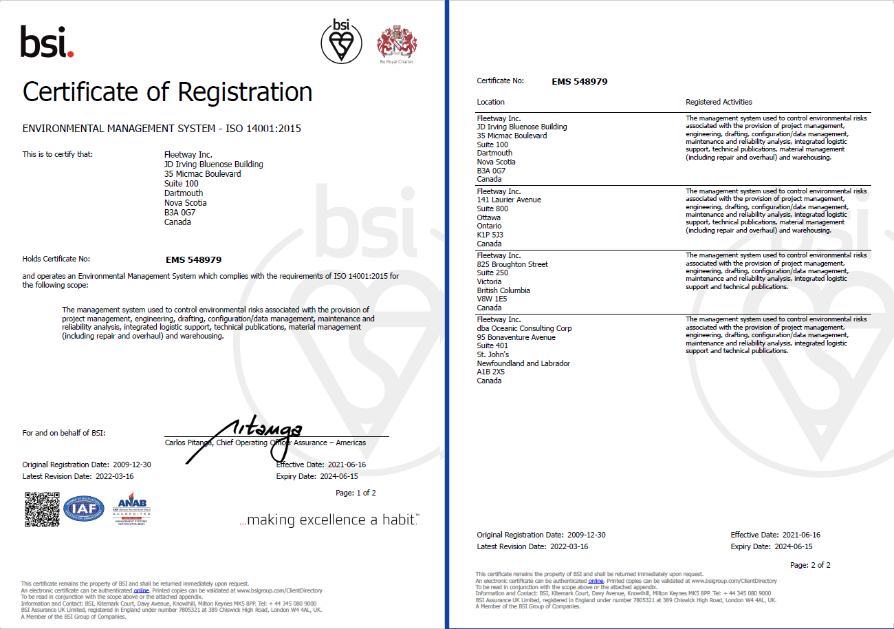 BSI Certificate of Registration: Environmental Management System